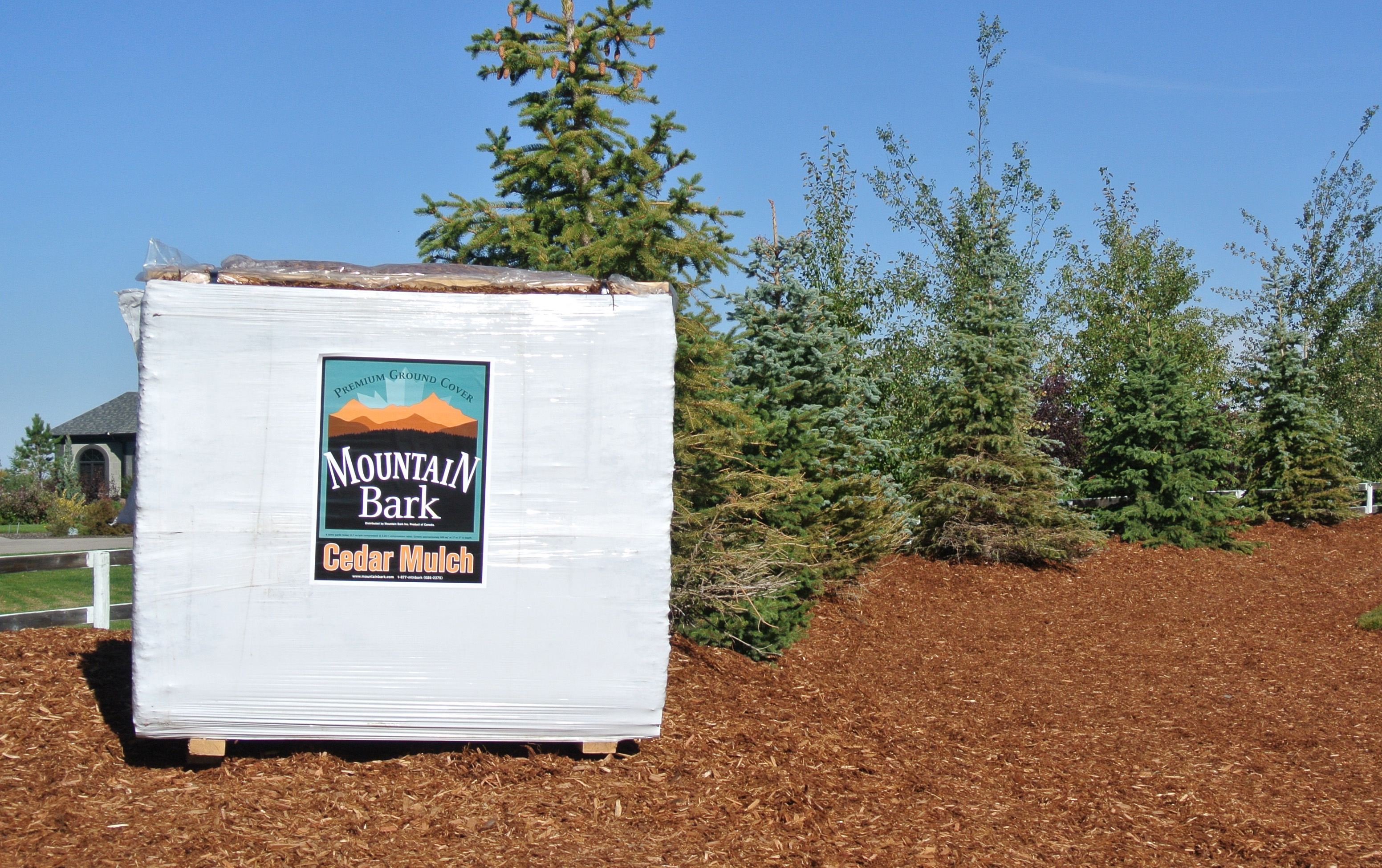 Premium Western Red Cedar Mulch